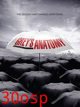 实习医生格蕾第六季