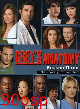 实习医生格蕾第三季