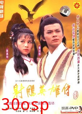 射雕英雄传之铁血丹心粤语