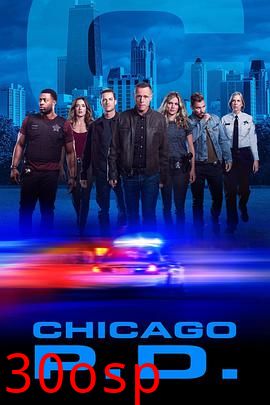 芝加哥警署第七季