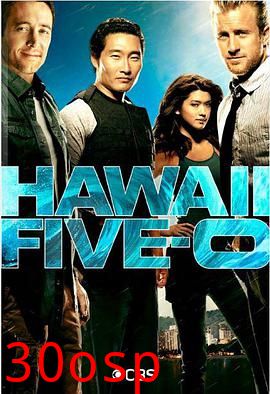 夏威夷特勤组第六季