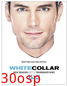 妙警贼探第五季