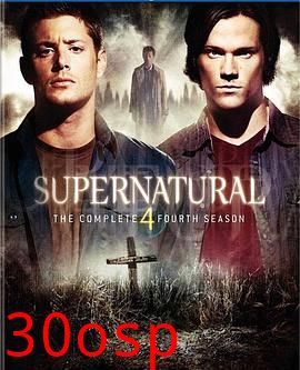 邪恶力量第四季