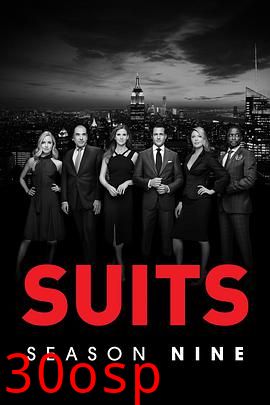 金装律师第九季