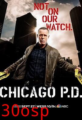 芝加哥警署第五季