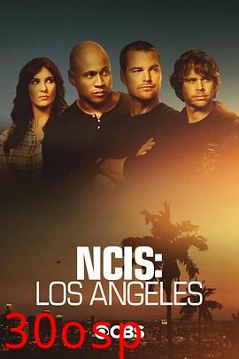 海军罪案调查处：洛杉矶第十二季