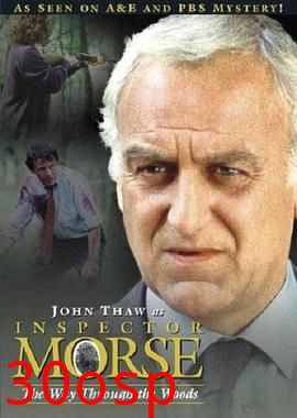 摩斯探长第八季