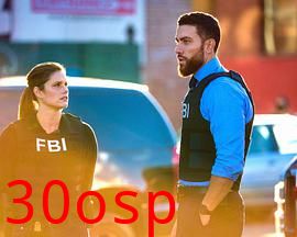 联邦调查局第四季