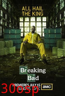 绝命毒师第五季