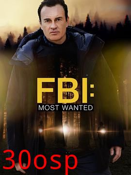 联邦调查局：通缉要犯第三季