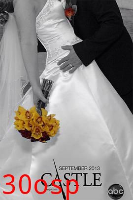 灵书妙探第六季