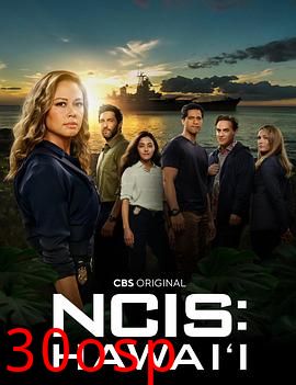 海军罪案调查处：夏威夷第二季