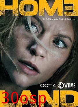 国土安全第五季