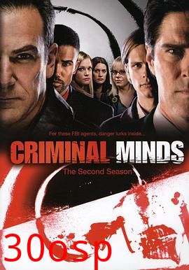 犯罪心理第二季