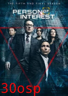 疑犯追踪第五季