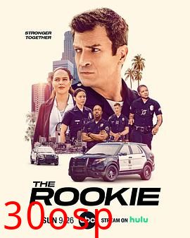 菜鸟老警第四季