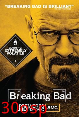 绝命毒师第四季