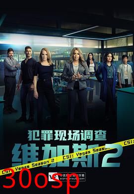 犯罪现场调查：维加斯第二季