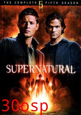 邪恶力量第五季