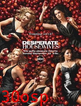 绝望主妇第二季