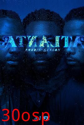 亚特兰大第二季