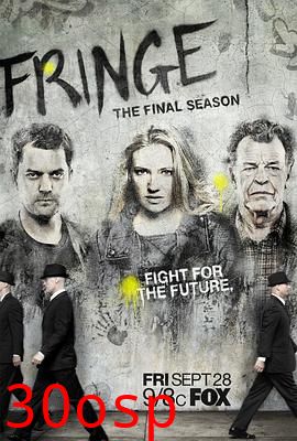 危机边缘第五季