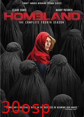 国土安全第四季