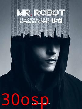 黑客军团第一季