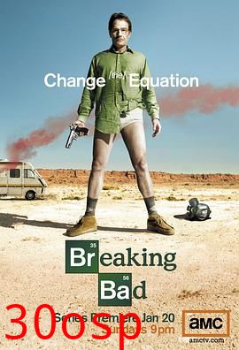 绝命毒师第一季