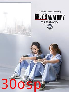 实习医生格蕾第八季