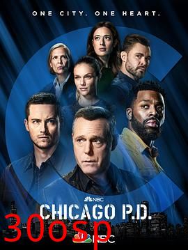 芝加哥警署第九季