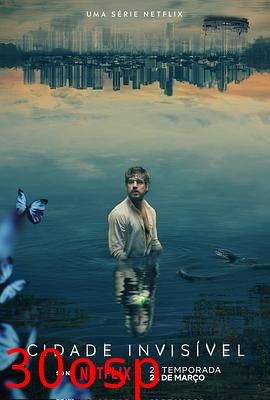 看不见的城市第二季
