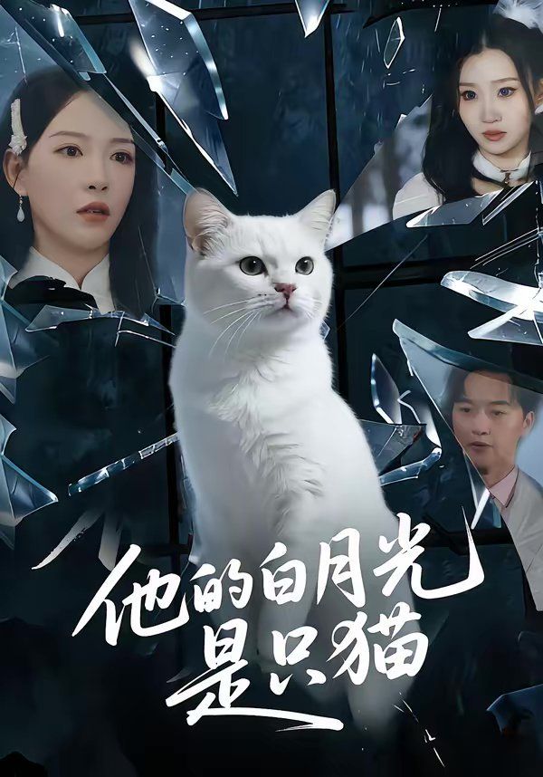 他的白月光是只猫