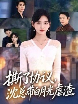 撕了协议，沈总带白月光虐渣